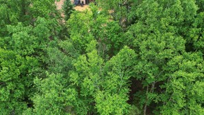 An aerial view of a forested area with a wooden dock leading to a small dock with two chairs and a table. - Moksa Spa Thermal Experience in Nature (L'Ange-Gardien)
