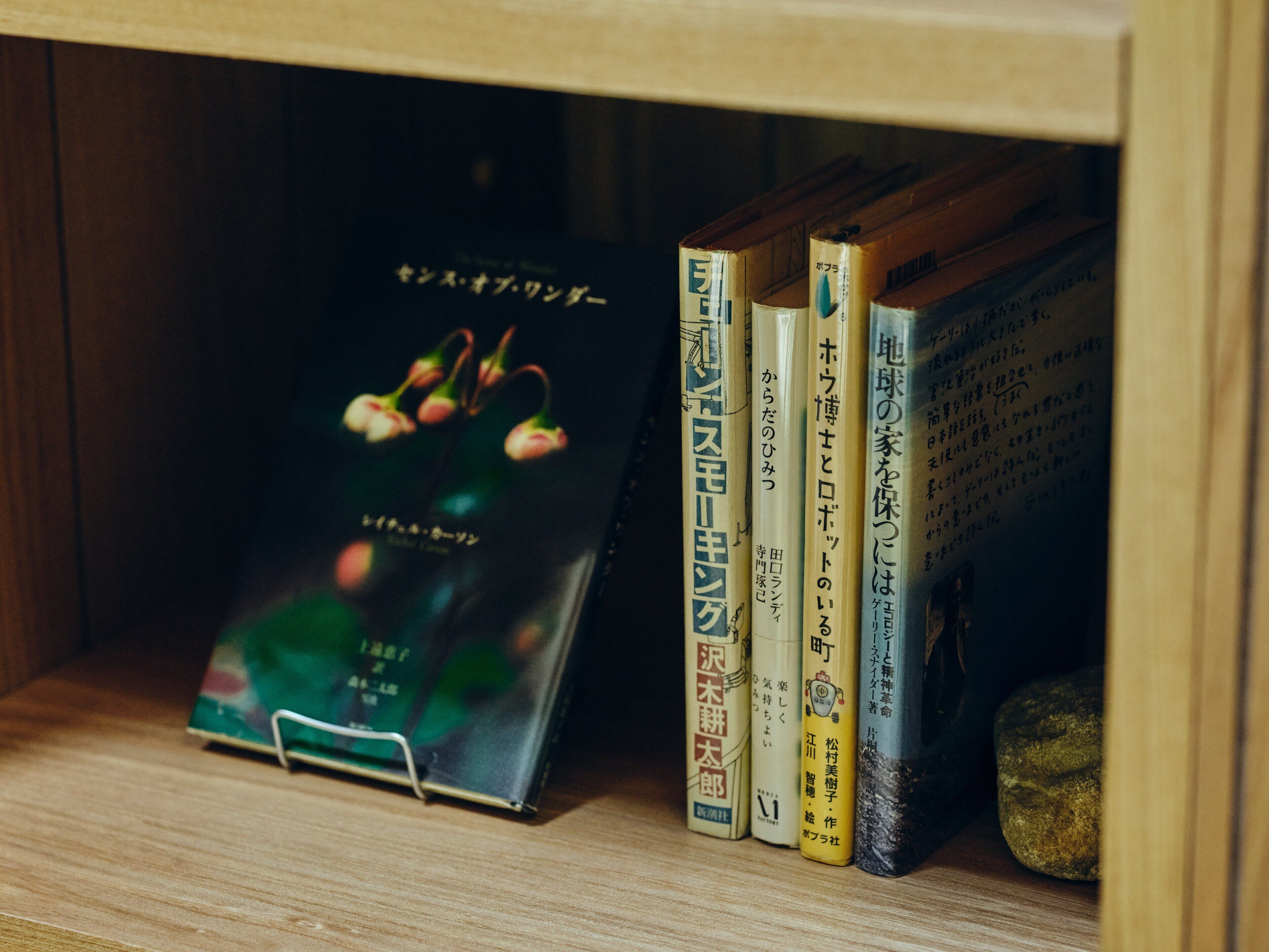 Una estantería de madera con libros y un objeto decorativo.