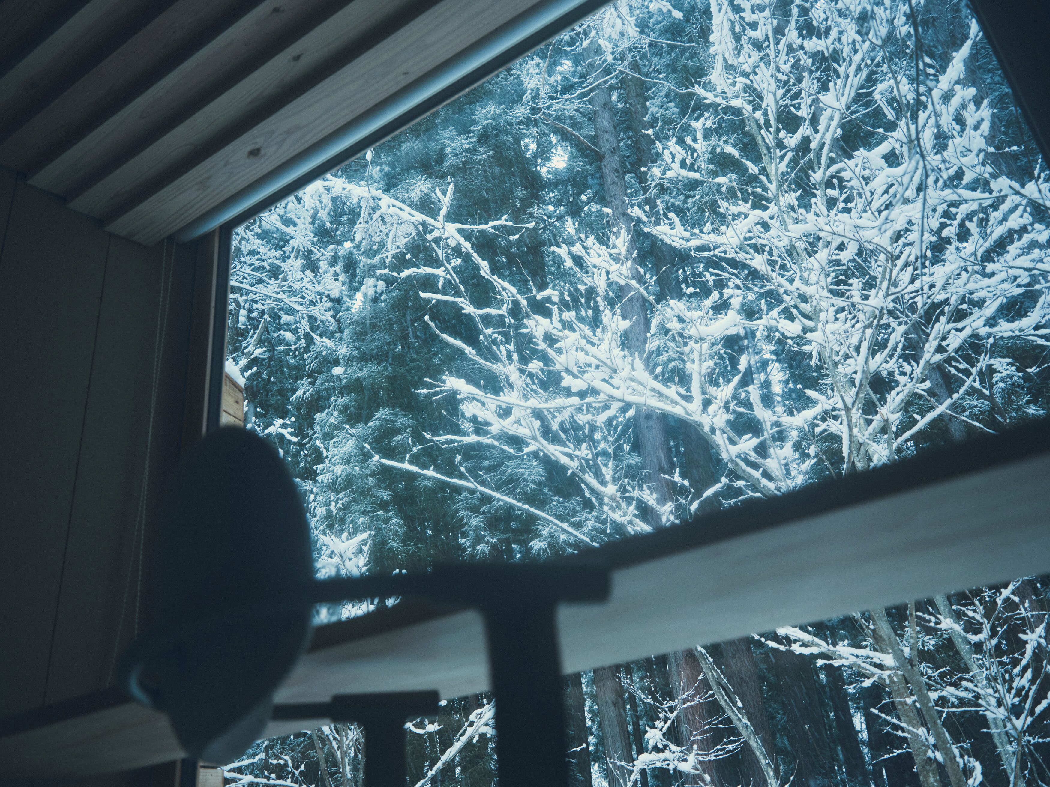 A view through a window of a cabin with a wooden interior and a view of a snow-covered forest.