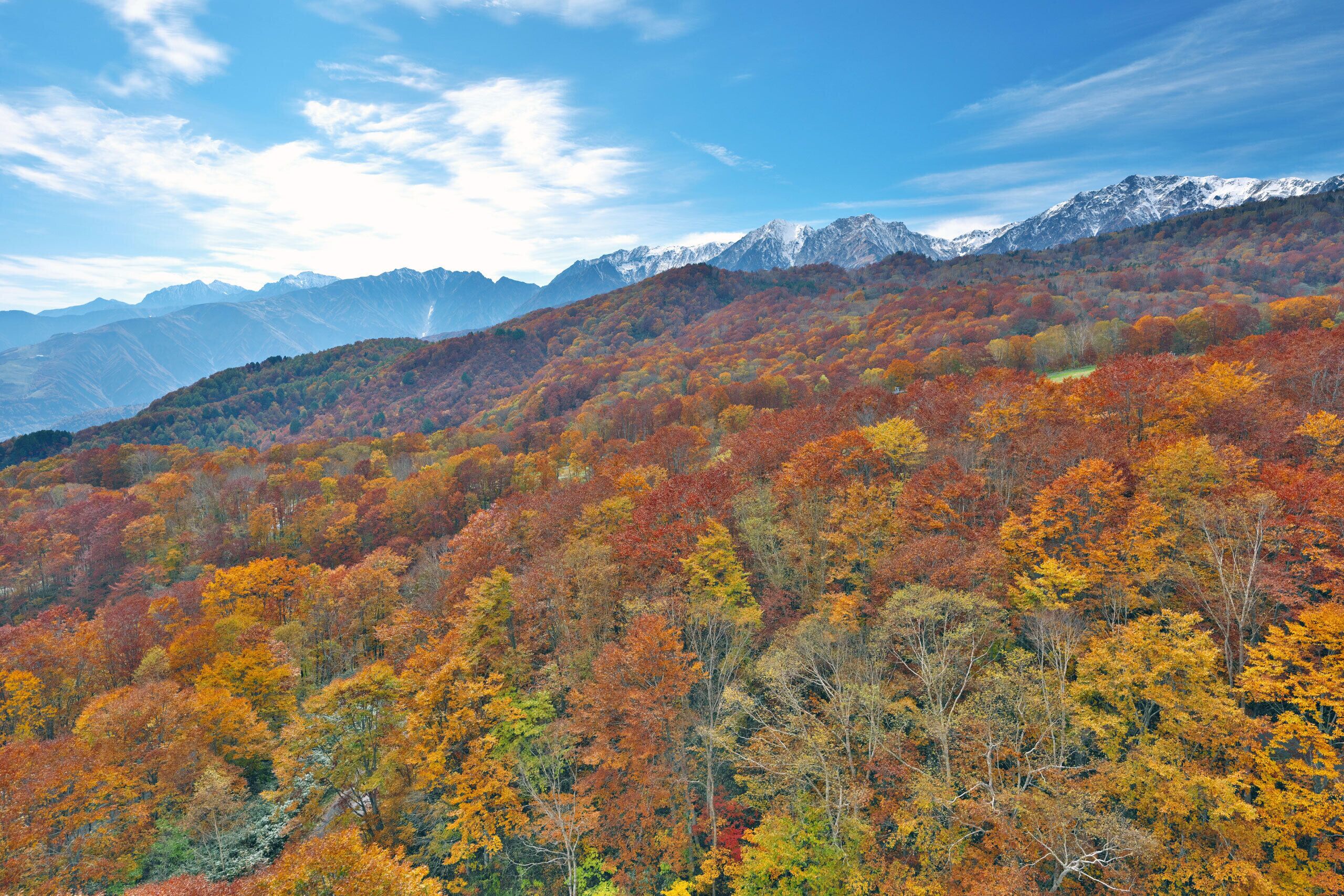 Land view from property