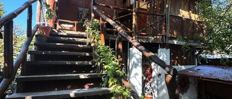 Gemeinsamer Basic-Schlafsaal | Terrasse/Patio