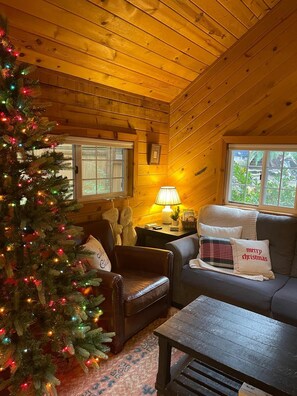 TV, fireplace - Cozy Cabin near Mt Hood with Hot Tub (Rhododendron)