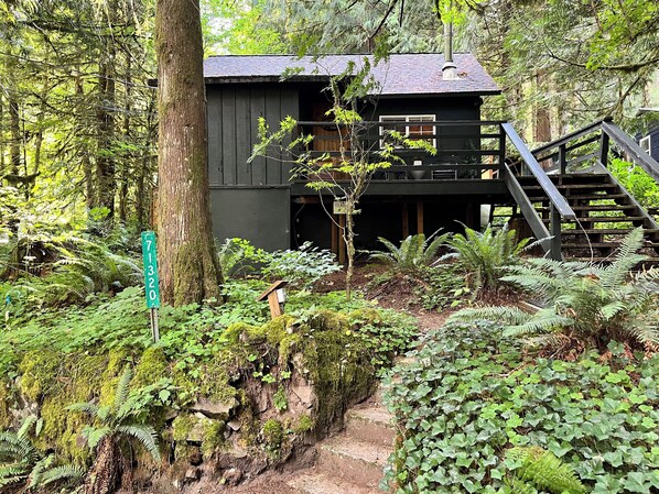 Exterior - Cozy Cabin near Mt Hood with Hot Tub (Rhododendron)