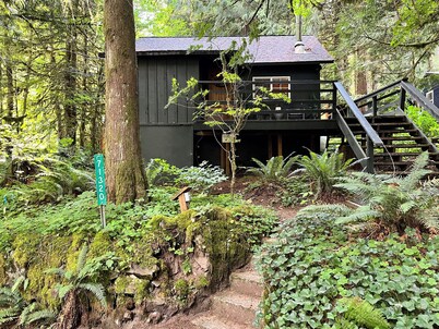 Cozy Cabin near Mt Hood with Hot Tub