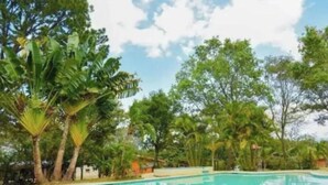 A swimming pool surrounded by lush greenery and trees. - Ecoturismo Monte Horeb (Gracias)