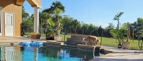 Outdoor pool, a heated pool