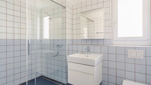 A modern bathroom with a glass shower enclosure, a white sink, and a mirror above the sink.