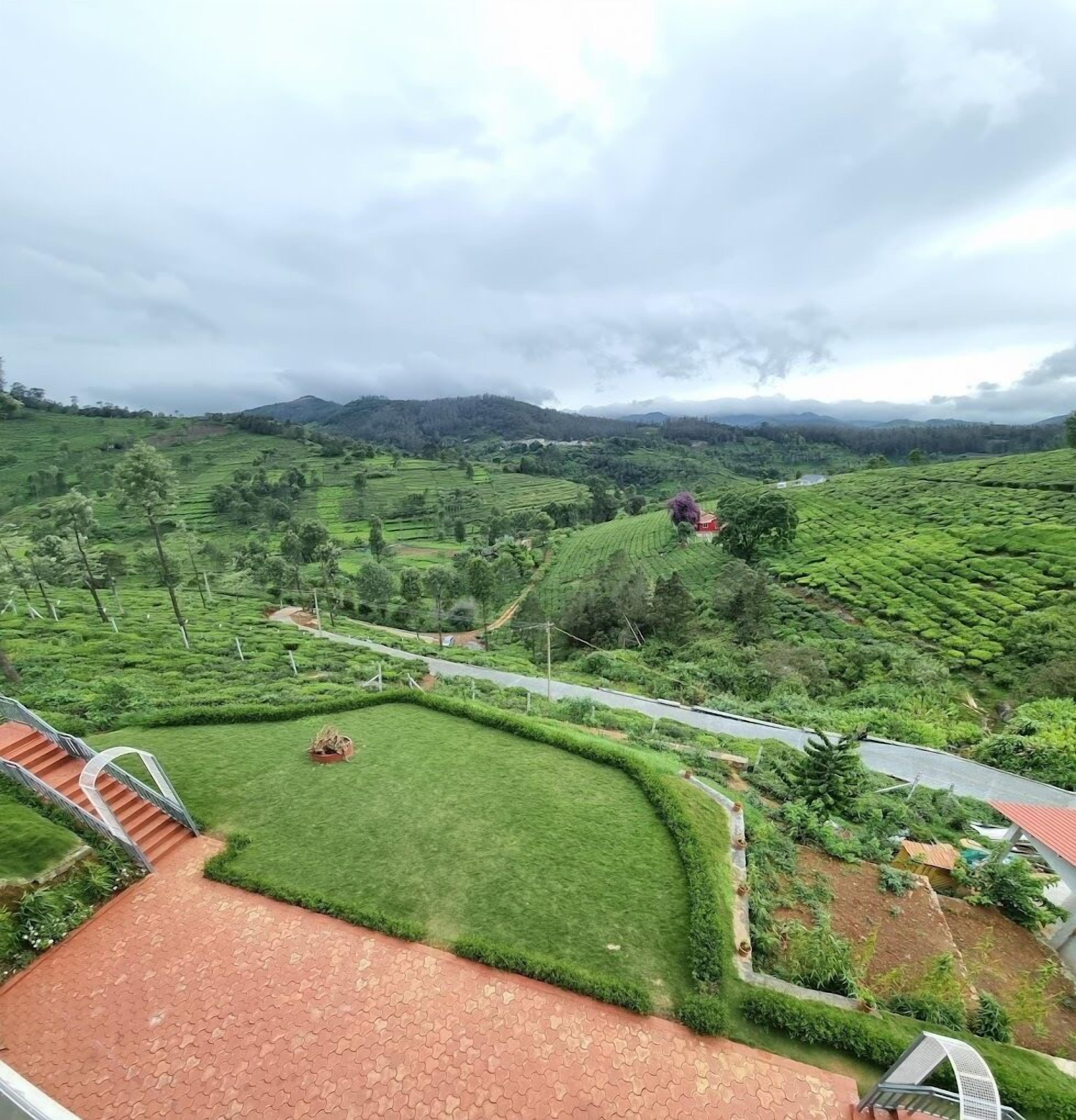 A terraced tea plantation with a paved walkway and a small structure.