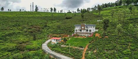 Une maison à deux étages, avec un toit rouge, entourée de luxuriantes plantations de thé, et une route sinueuse qui y mène.