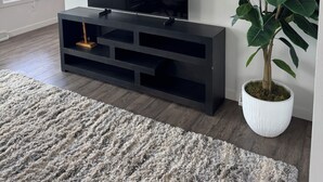 A modern living room with a flat-screen TV on a black stand, a large potted plant, and a grey shaggy rug. -  Lakefront Cottage on Lake Winnebago (Hilbert)