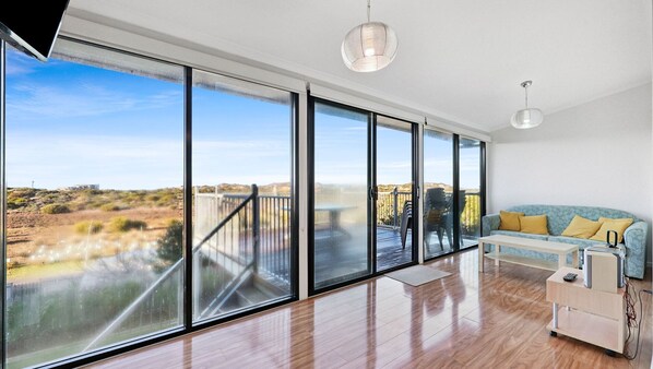 TV, fireplace, DVD player