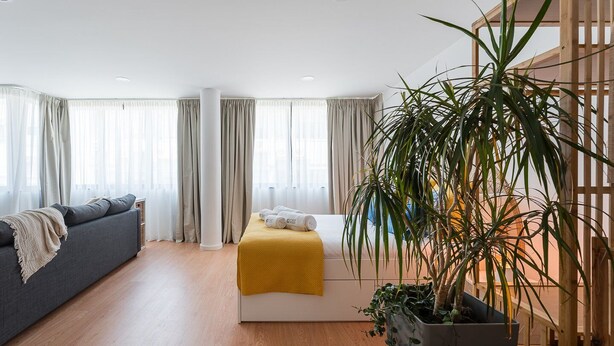 A modern bedroom with a bed, a sofa, and a large potted plant.