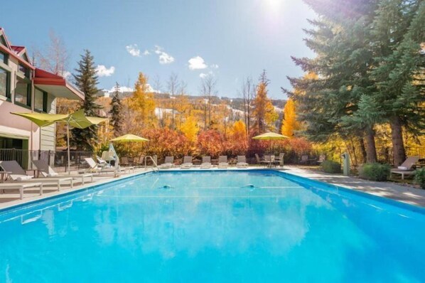 Ein Schwimmbecken mit Liegestühlen und Sonnenschirmen, umgeben von Bäumen in Herbstfarben.