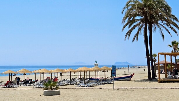 Una playa con sombrillas, sillas de descanso y una palmera.