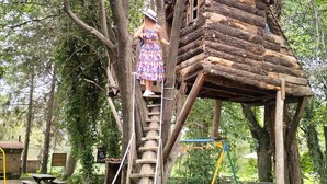 Une cabane en bois perchée dans un arbre, accessible par une échelle, entourée d’arbres et dotée d’un espace pique-nique avec des bancs et des chaises.