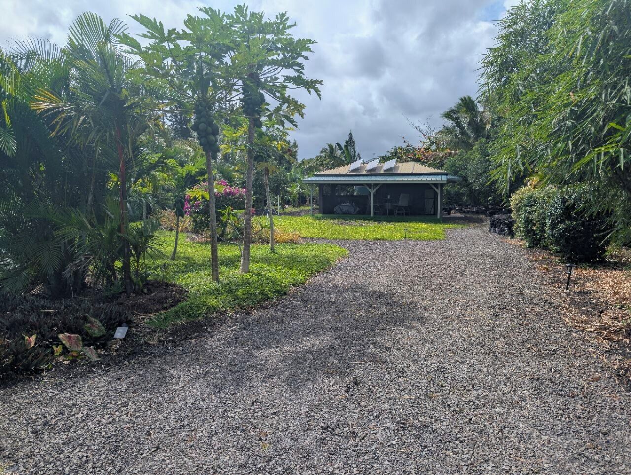 A gravel path leading to a covered structure with solar panels on the roof, surrounded by lush greenery.