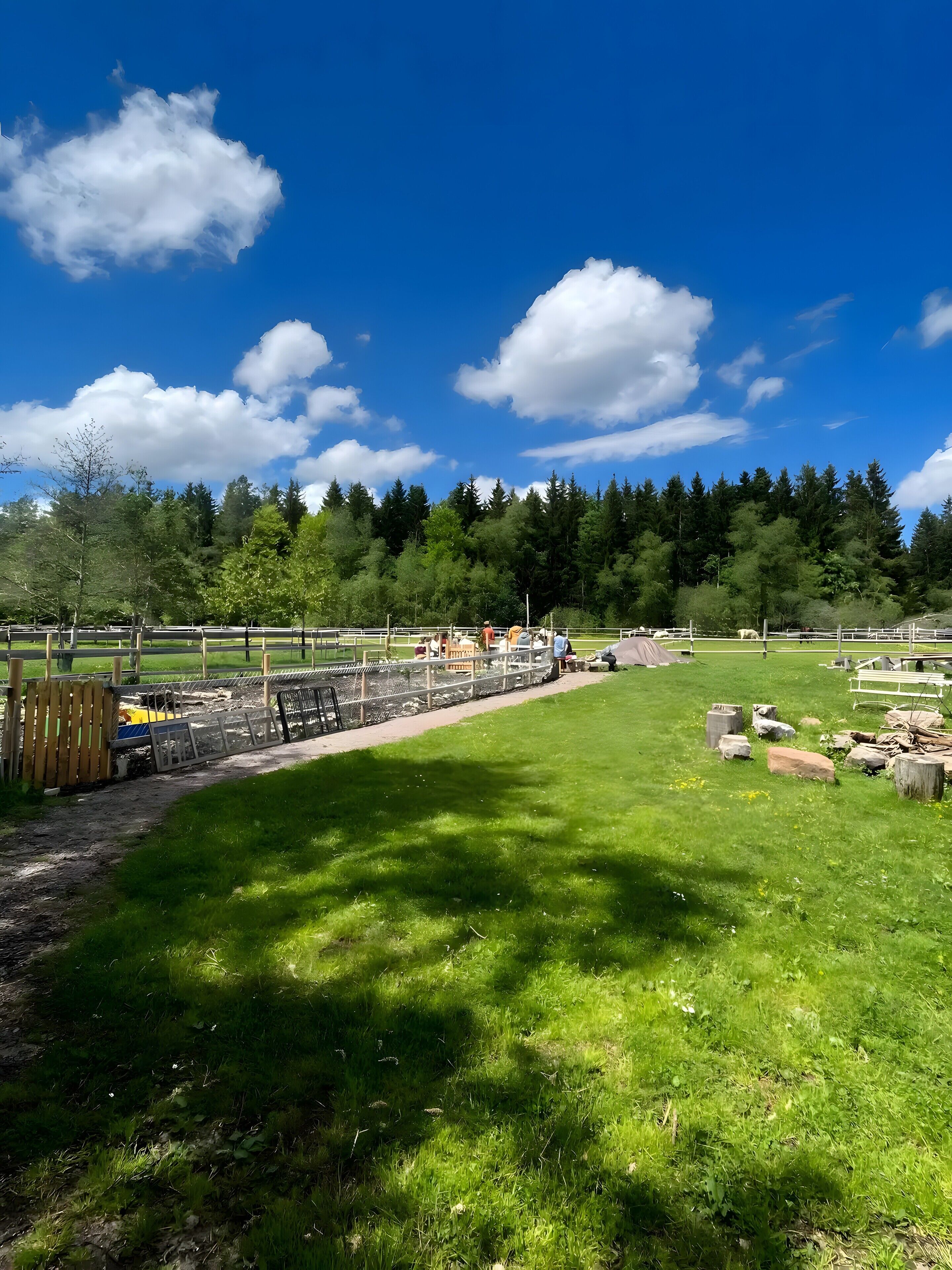 A grassy field with a wooden fence, a paved path, and a dense forest in the background.