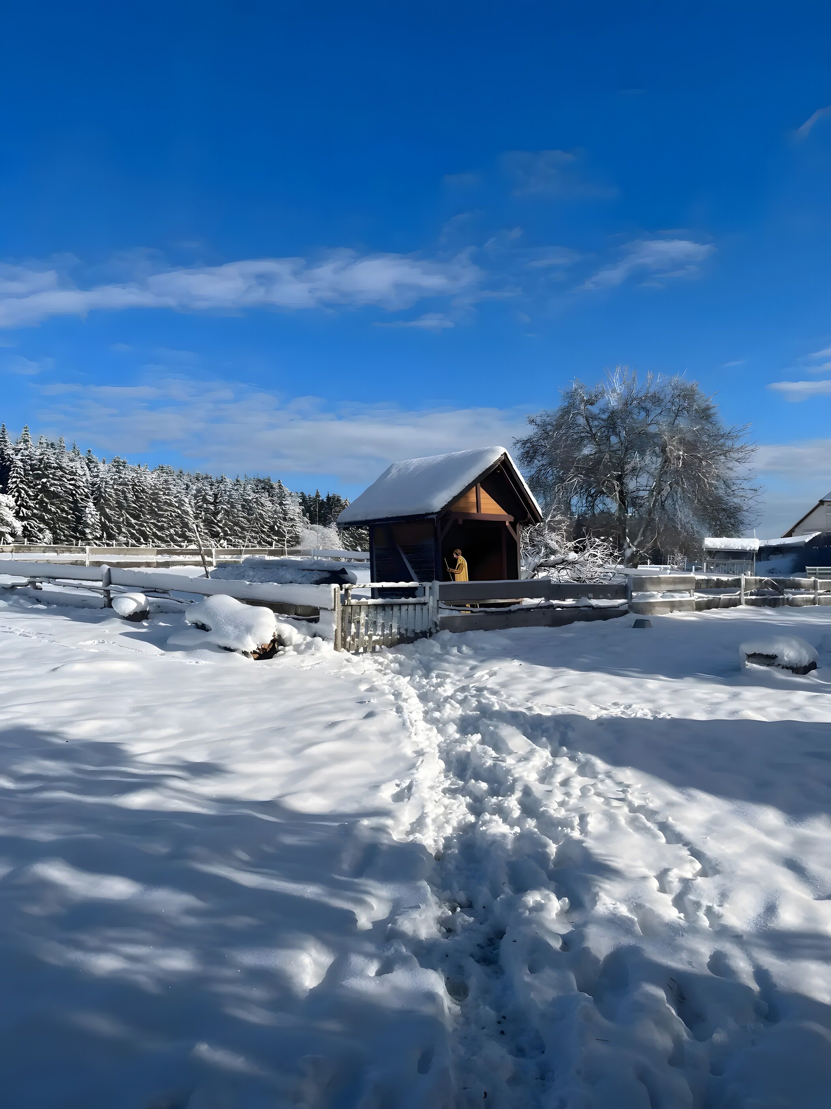 Parco della struttura