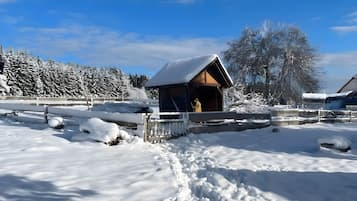 Boendeområde