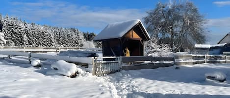 Terrain de lâhĂ©bergement