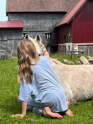 En person sitter på gräset bredvid ett stort djur, med ett ladugårdsbygge och en röd byggnad i bakgrunden.