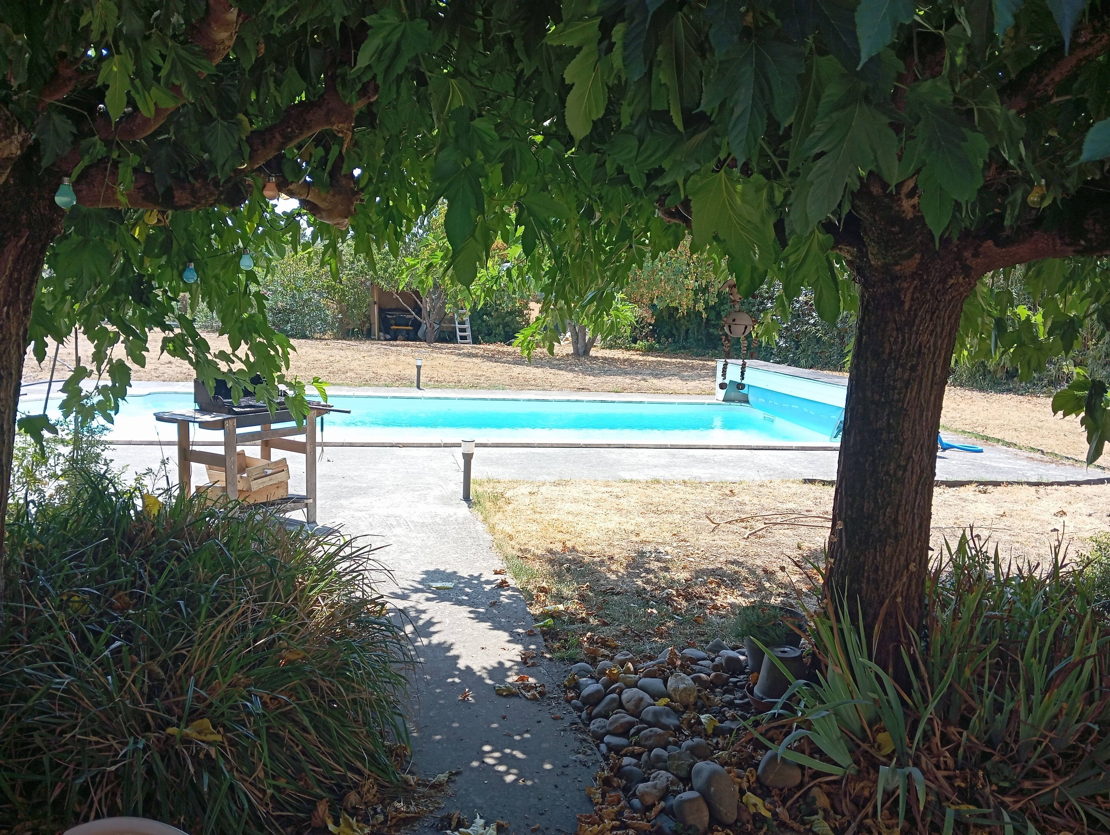 Una piscina con muelle de madera y una mesa, rodeada de árboles y un sendero de piedra.