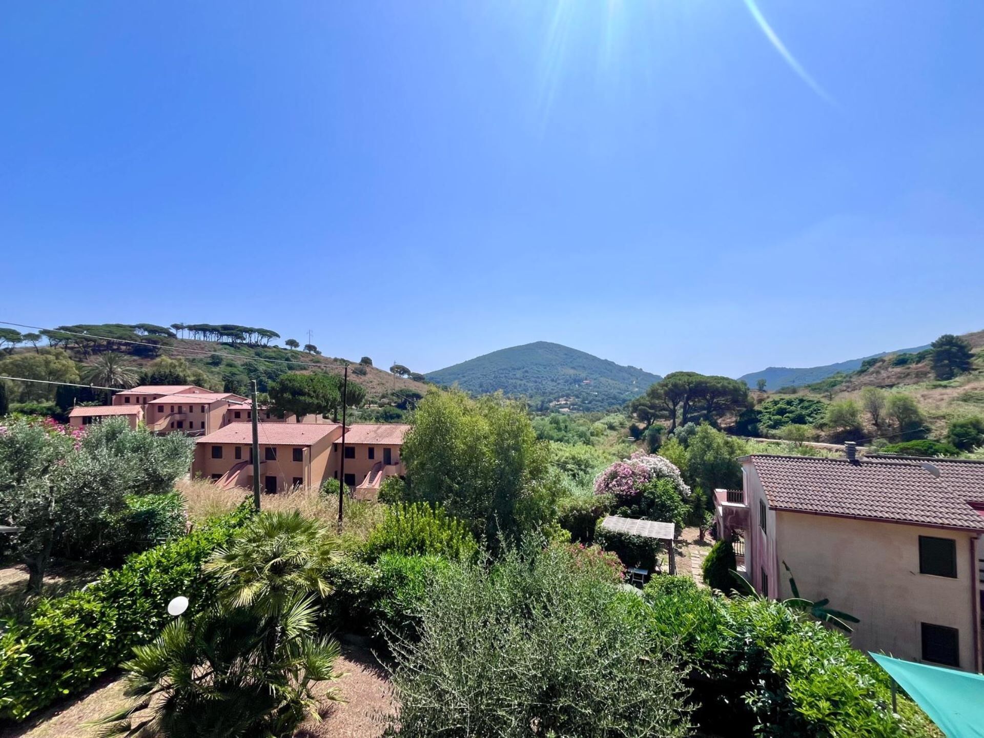 A residential area with houses, lush greenery, and a hill in the background.
