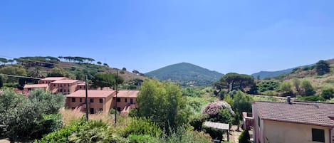 A residential area with houses, lush greenery, and a hill in the background.