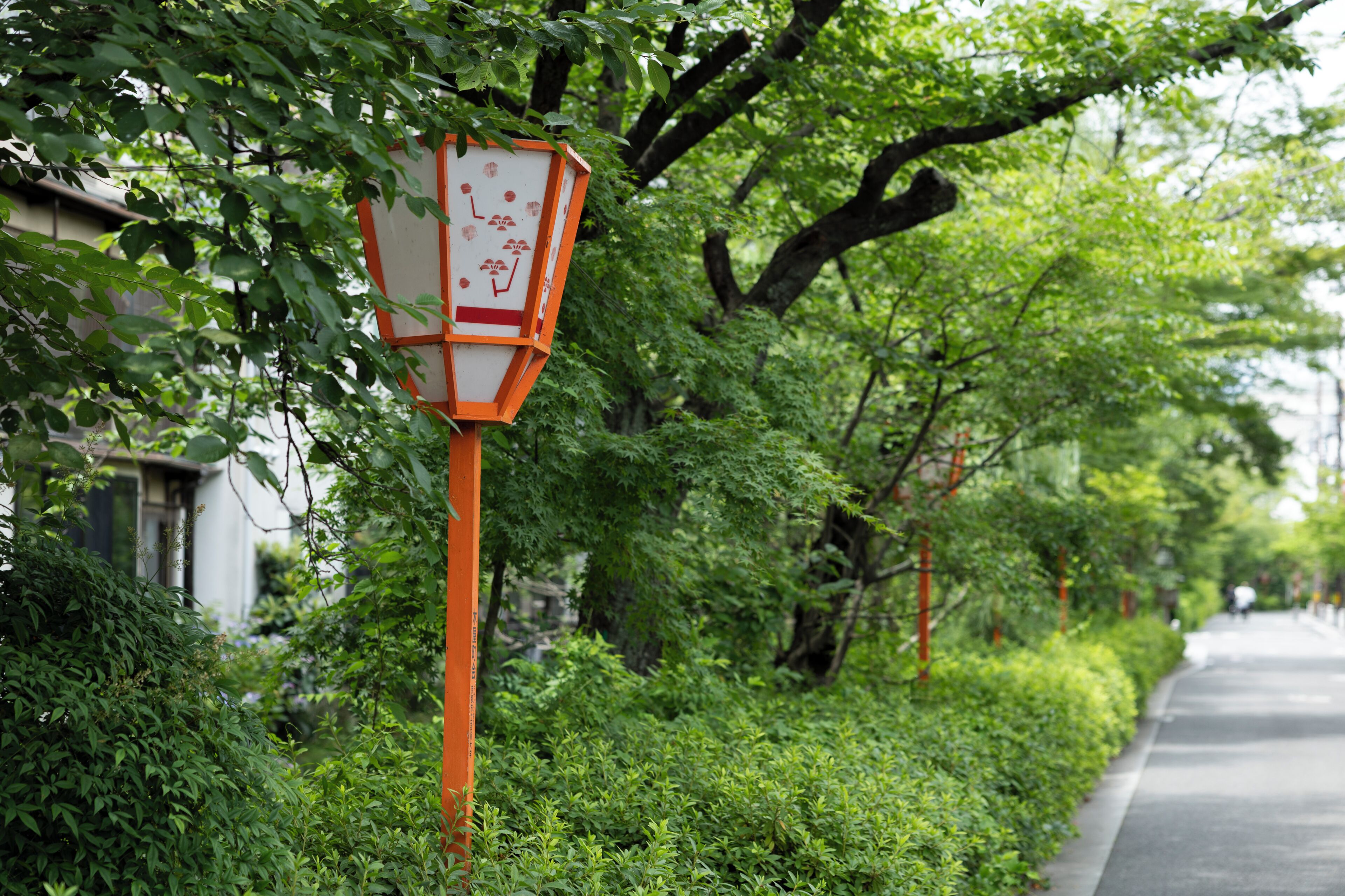 A traditional Japanese lantern on a tree-lined street.