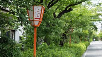 A traditional Japanese lantern on a tree-lined street.