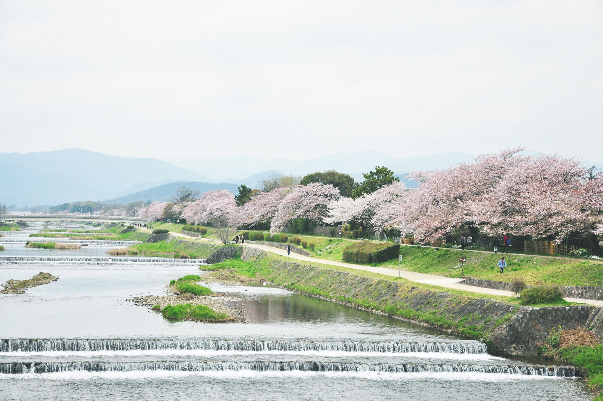 Photo - soyo-ne kyoto sanjo