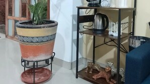 Une pièce avec une grande plante en pot, une machine à café et une étagère contenant divers objets.