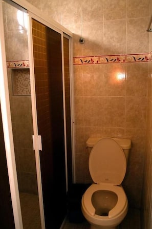 Douche, serviettes fournies, savon, shampoing