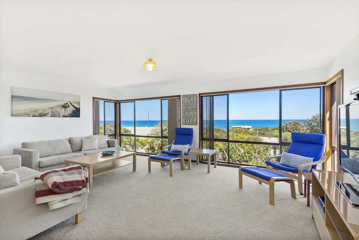 电视、DVD 播放器