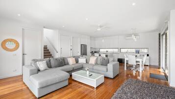 TV, fireplace, DVD player