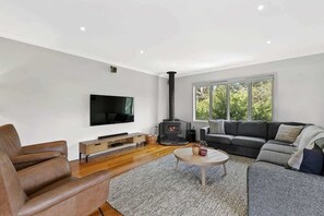 Fernseher, Kamin, DVD-Player