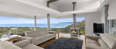 Télévision, cheminée, lecteur de DVD