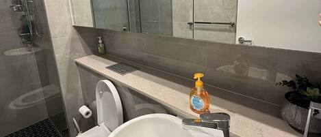 Een moderne badkamer met een douchecabine van glas, een toilet en een wastafel.