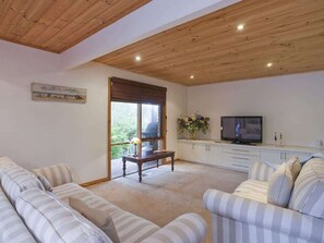 TV, fireplace, DVD player