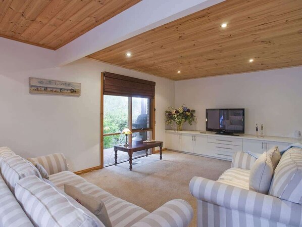 TV, fireplace, DVD player