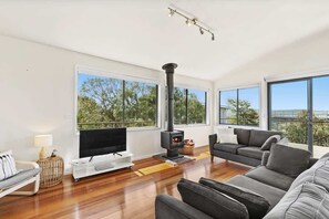 TV, fireplace, DVD player