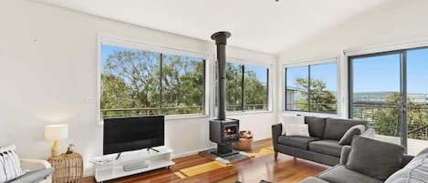 Télévision, cheminée, lecteur de DVD