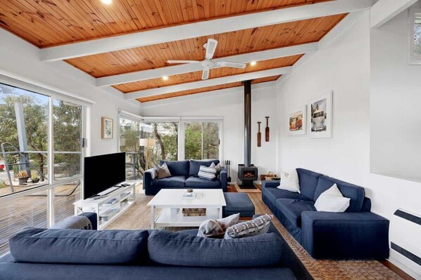 TV, fireplace, DVD player