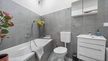 Dusche, Haartrockner, Toilettenpapier