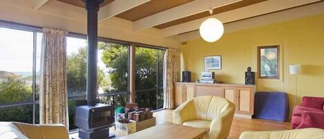 TV, fireplace, DVD player