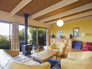 TV, fireplace, DVD player