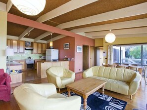 Télévision, cheminée, lecteur de DVD