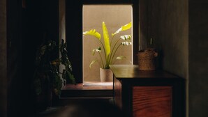Een kamer met een raam, een kamerplant en een houten tafel.