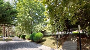 Un chemin pavé, bordé d’arbres et d’arbustes, mène à un escalier.