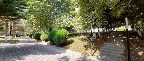 Un sendero pavimentado bordeado de árboles y arbustos que conduce a una escalera.